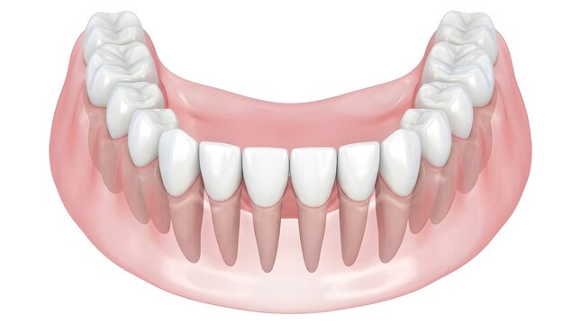 Flat Style 3D Render of a Complete Lower Jaw Denture on Pink Gum Model, Isolated
