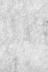 Clean white marble stone texture with sharp branch-like black veins and a fractured natural pattern, perfect for minimalist interior design and high-end bathroom surfaces.
