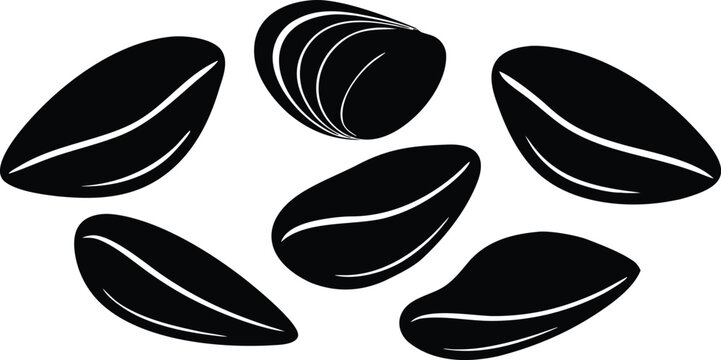 mussel shell icon silhouette vector illustration