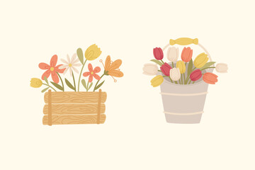 Spring flower illustration with wooden crate bouquet and tulip bucket arrangement in soft pastel style