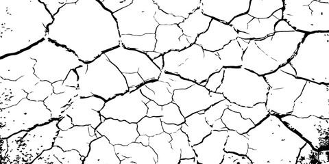High-contrast cracked texture on a white background, featuring organic fracture lines and distressed surface details. Perfect for abstract backgrounds, grunge design, overlays, and artistic effects.