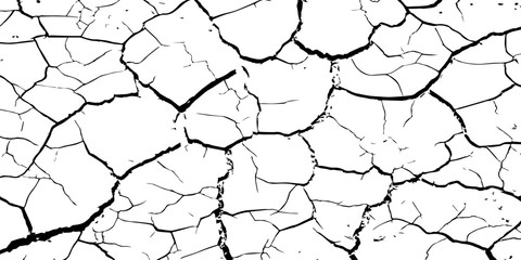 High-contrast cracked texture on a white background, featuring organic fracture lines and distressed surface details. Perfect for abstract backgrounds, grunge design, overlays, and artistic effects.