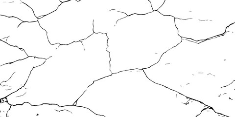 High-contrast cracked texture on a white background, featuring organic fracture lines and distressed surface details. Perfect for abstract backgrounds, grunge design, overlays, and artistic effects.
