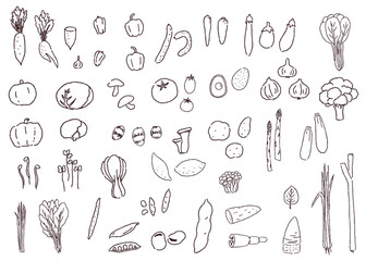 いろいろな野菜　手描き線画のセット