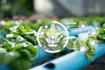 A close-up of hydroponic plants with digital icons representing growth metrics and environmental...