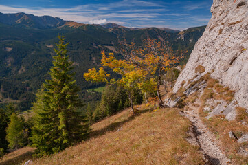 View of autumn's golden hues paint a vibrant contrast against the rugged, rocky terrain and distant mountain peaks, Ohniste, Zilina Region, Slovakia.