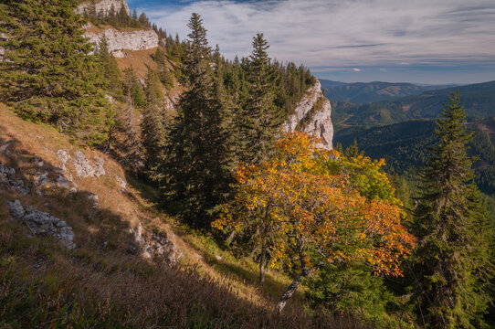 View of rugged cliffs meet autumnal forests, a tapestry of gold and green under a vast sky, a scene of natural majesty, Ohniste, Zilina Region, Slovakia.