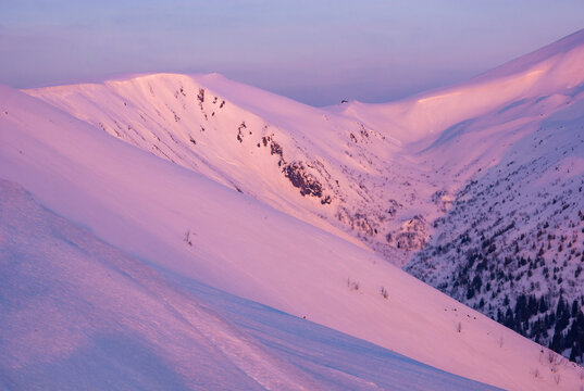 View of snow-blanketed mountain slopes bathed in a soft, rose-tinted light, creating a serene, wintry landscape, Low Tatras, Banskobystricky kraj, Slovakia.