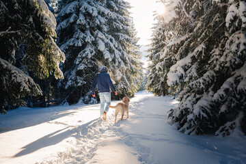 Man walking with dog on footpath in snowy forest. Pet owner and labrador retriever enjoy idyllic winter day together.