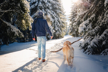 Man walking with dog on footpath in snowy forest. Pet owner and labrador retriever enjoy idyllic...