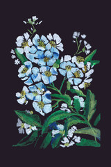 flower pastel pattern with white wildflowers on black background