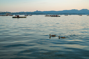 West Lake in Hangzhou with Ducks