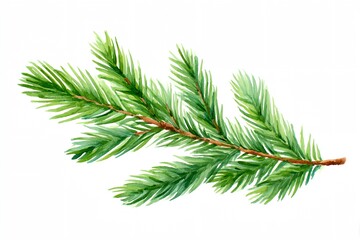 Obraz premium Green leafy branch of a tree