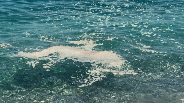 Dirty mud and foam on the surface of the water at the city beach. High quality 4k footage