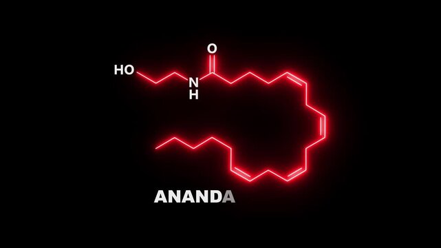 neon Anandamide Molecule Structure on black Background. glowing formula of Anandamide. Anandamide Molecular Structure Symbol icon Animation. Anandamide Molecule Structure icon.