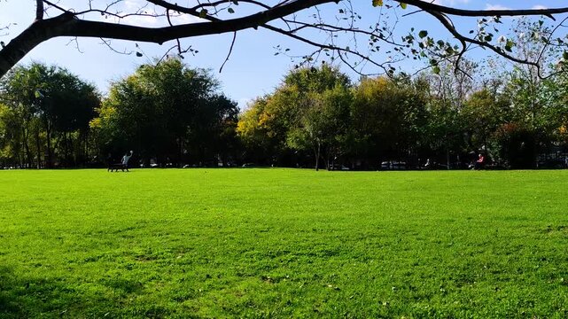 A sunny autumn day in a lush green park area filled with trees and a clear blue sky in Anadolu Hisarı, Istanbul.