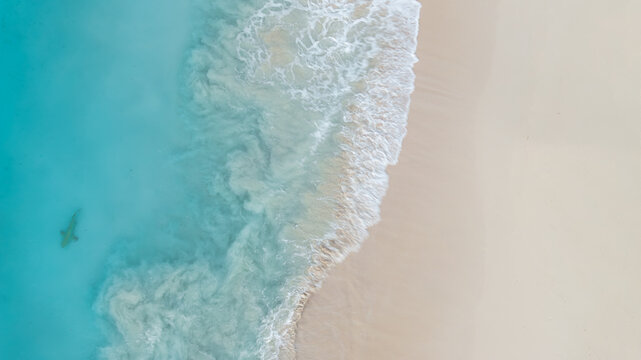 Aerial view of turquoise waves gently meeting the pristine, sandy shore, revealing a shark in the crystal-clear waters of Bimini, Alice Town, Bimini, The Bahamas.