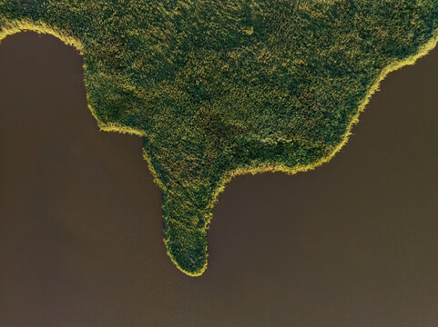 Aerial view of emerald green vegetation kisses the dark waters, creating a striking contrast of life and stillness, Lemmer, Friesland, Netherlands.