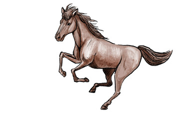 かっこいい馬の絵　ペン画　イラスト　リアル