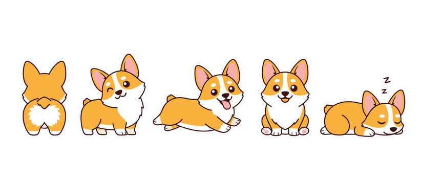 Adorable set of cartoon Corgi dog characters in various cute and playful poses, including a view of the famous butt, winking, running, sitting, and sleeping, sweet pet vector illustration