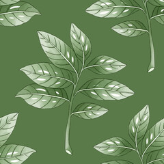 Seamless pattern Tree laurel.