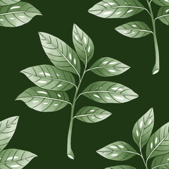 Seamless pattern Tree laurel.