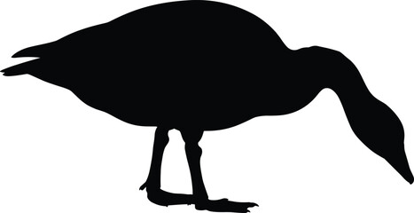 Silhouette illustration of a standing bird with long neck and body, ideal for wildlife graphics, nature projects, animal designs, vector artwork, and creative decor themes