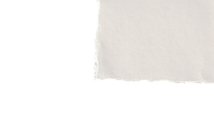white torn paper