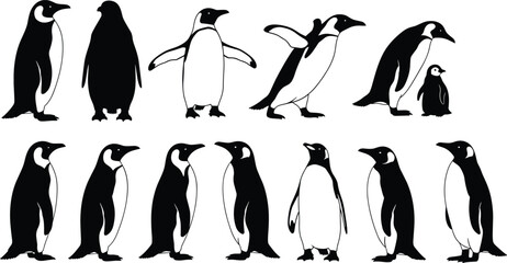 Obraz premium Black and White Silhouette Vector Set of Emperor Penguins, Chicks, and Adults Illustration, Antarctic Animal Collection, Wildlife, Nature, Bird, and Fauna Graphic Design Elements.