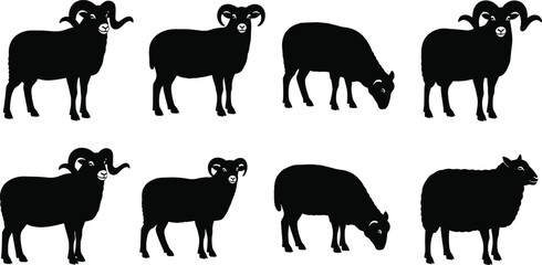 Black Silhouette Vector Set of Sheep, Rams, and Ewes Illustration, Farm Animals, Livestock, Wool, Agriculture, Animal Husbandry, and Domesticated Fauna Graphic Collection.