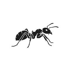 Ant Silhouette Icon – Insect Bug Minimal Black Vector Illustration