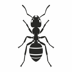 Ant Silhouette Icon – Insect Bug Minimal Black Vector Illustration