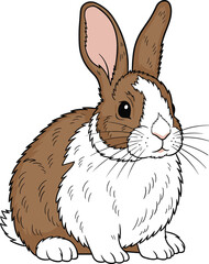 Cute Dutch Rabbit Cartoon Illustration, Brown and White Bunny, Pet, Animal, Easter Symbol, Mammal, Wildlife, Farm, Vector