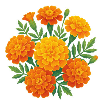 Orange And Yellow Marigold Flower Arrangement Isolated