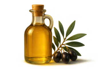 Olive Oil Still Life with transparent background for Creative Projects