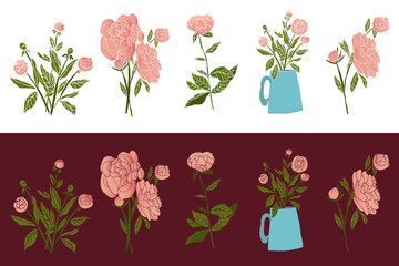 Realistic hand-drawn peonies in soft pink tones, created as high-quality vector illustrations with delicate gradients. Each flower features detailed petals, natural shading and elegant botanical lines