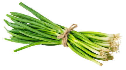Fresh Green Onions Bunch