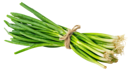 Fresh Green Onions Bunch