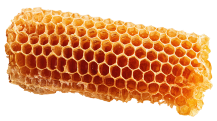 Honeycomb Isolated