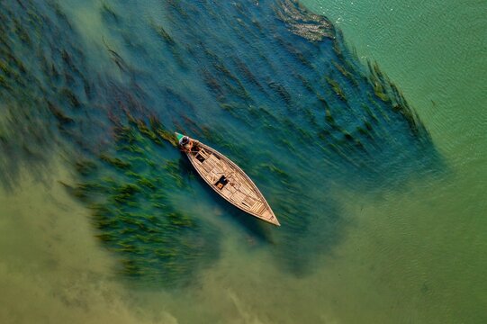 Aerial view of a solitary boat glides through the river, its wooden hull contrasting with the swirling patterns of green algae, Sirajganj, Rajshahi Division, Bangladesh.