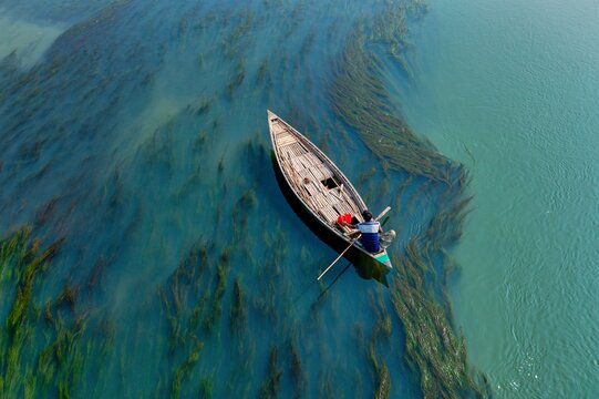 Aerial view of a boat drifting across the serene, weed-filled waters, with a man rowing under the bright sunlight, Sirajganj, Rajshahi Division, Bangladesh.