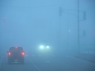 朝の濃霧の天気の中で道路で走る車の様子