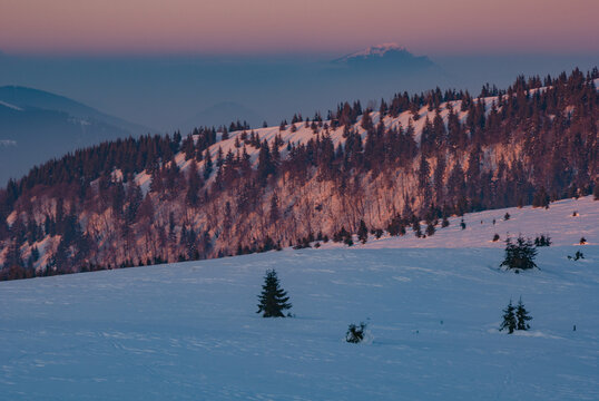View of snow-covered hills dotted with dark green trees under a pastel sky as the sun rises in Low Tatras, Nova hola, Banskobystricky kraj, Slovakia.