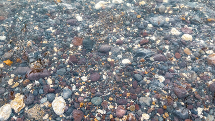 colorful pebbles under clear shallow water