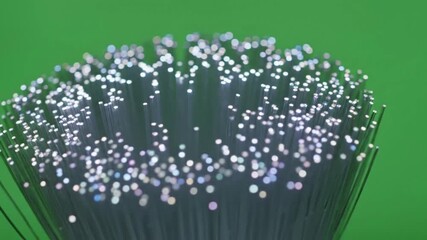 Fiber optic strands weaving through green screen with fiber optic strands gently glowing effect ad_ready green screen fiber optics