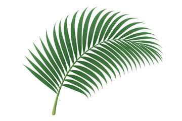 Obraz premium Palm frond element with green tropical leaves on transparent background, adding a natural touch to designs