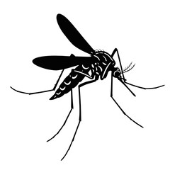 Black silhouette of a mosquito isolated on transparent background 