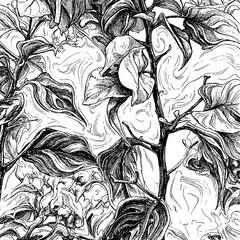 Hand drawn foliage illustration. Detailed ink sketch of leaves on swirling abstract background. Vintage engraving style nature background. Black and white botanical line art with woodcut texture.
