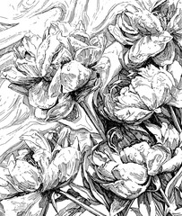 Hand drawn peony flowers illustration. Black and white ink sketch with hatching details. Decorative floral pattern. Monochrome pen and ink drawing of lush flowers. Vintage engraving floral style.