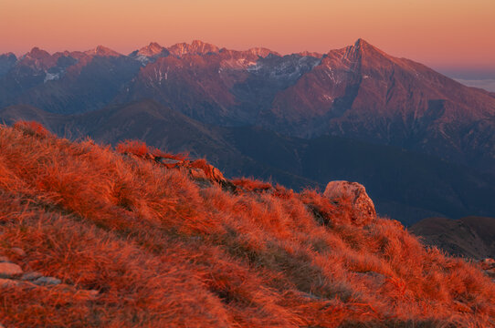 Aerial view of fiery grasses cascading down the slopes towards the majestic, snow-dusted peaks of the Western Tatras under a warm sunset glow, Bystra, Zilina Region, Slovakia.